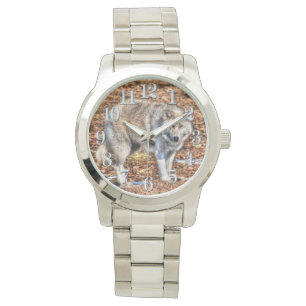 Montre Loup blanc de l'Arctique et débris forestiers
