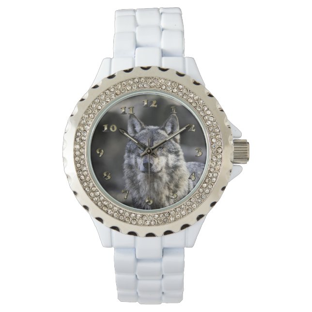 Montre Loup gris (devant)