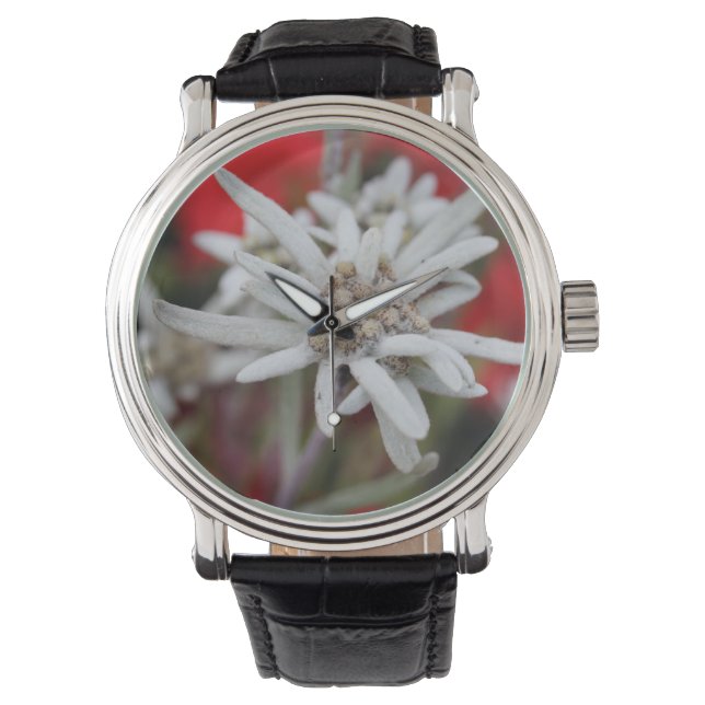 Montre Lovely Edelweiss Leontopodium nivale (devant)