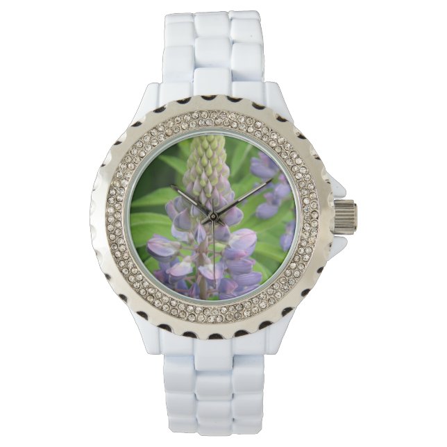 Montre Lupine pourpre (devant)