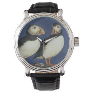 Montre Macareux atlantique