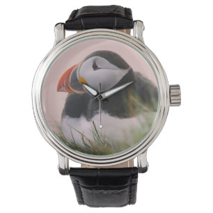 Montre Macareux atlantique (Fratercula arctica)