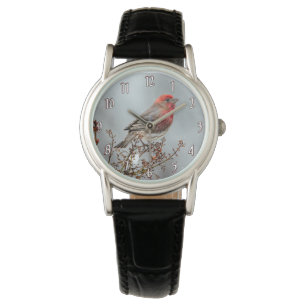 Montre Maison Finch en Neige - Photo originale