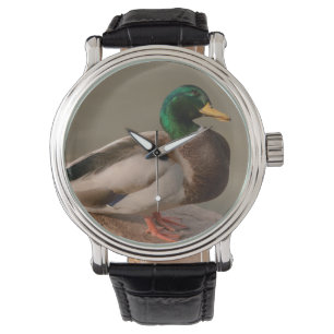 Montre Mallard Duck Drake Watch