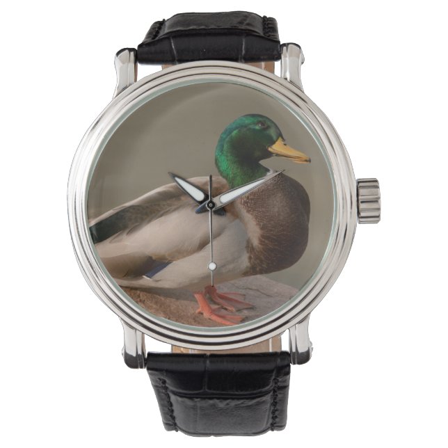 Montre Mallard Duck Drake Watch (devant)