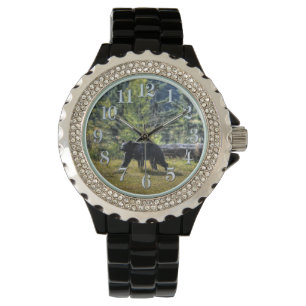 Montre Marcher Ours noir et pâturage de la forêt Photo de