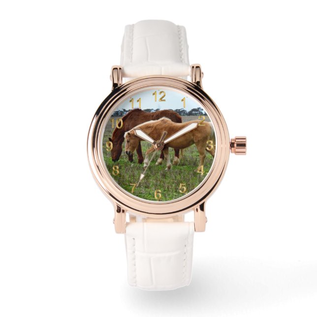 Montre Mare De Châtaignes Et Foin De Palomino, (Recto)