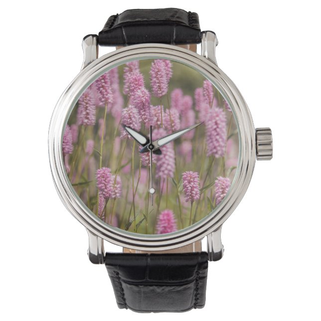 Montre Meadow, Nature, Flower meadow (devant)