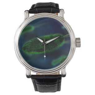 Montre Microbes de bactéries