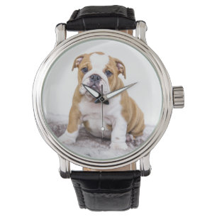 Montre Mignonne chiot Bulldog assis