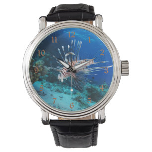 Montre Miles de poissons-lions ou de ptérois, poissons de
