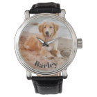 Mini moderne élégant Animaux de compagnie Nom de l