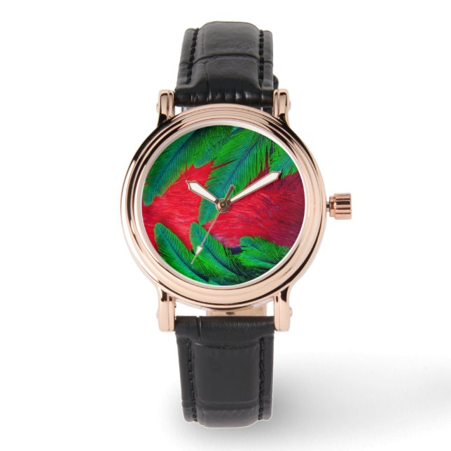 Montre Modèle de plume Quetzal resplendant (Recto)