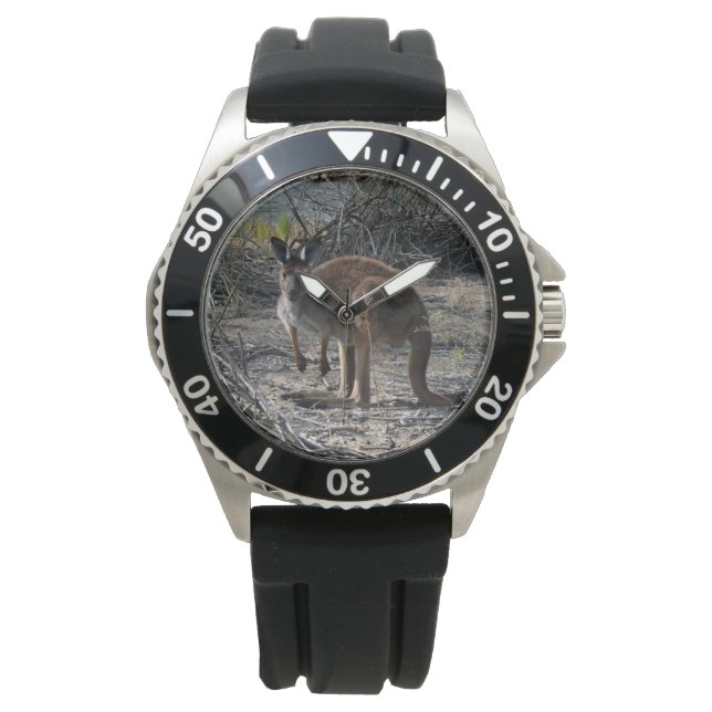 Montre Moment tranquille : Kangaroo australien à Billabon (devant)