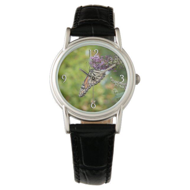 Montre Monarque sur Buddleia (devant)