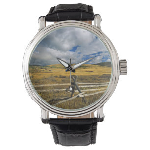 Montre Mont Haggin NWR près d'Anaconda Montana