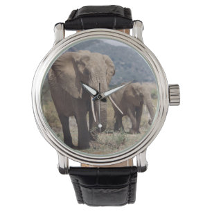 Montre Mother éléphant walking with elephant calf