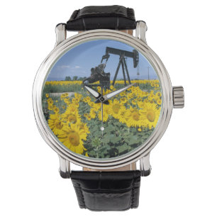 Montre Na, USA, Colorado, tournesols, pétrole Derrick
