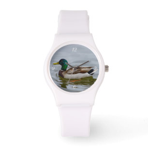 Montre Nager Colvert Nager