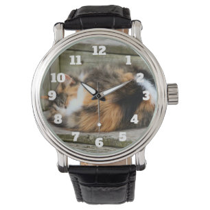 Montre Naptime