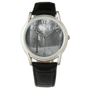 Montre Neige d'hiver dans le parc national Kings Canyon