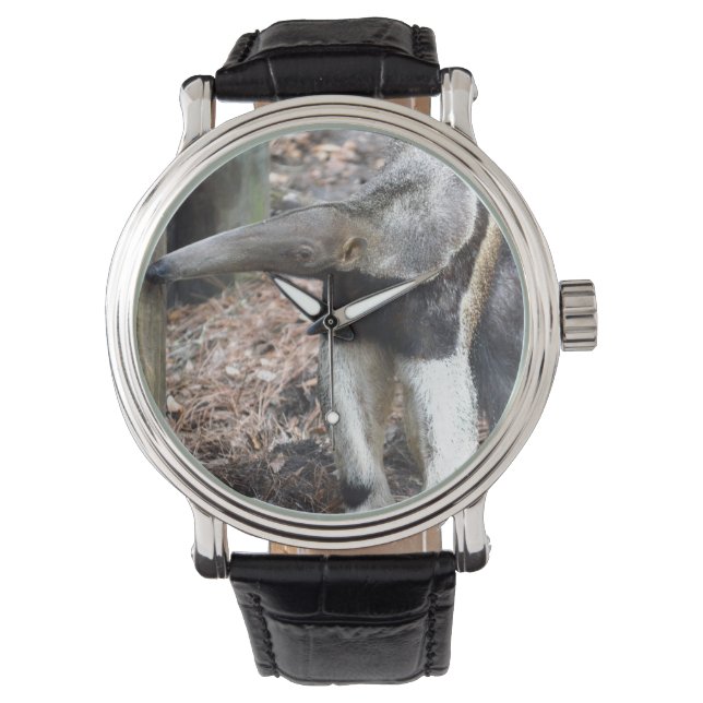 Montre nez de fourmi levée image animal sauvage (devant)