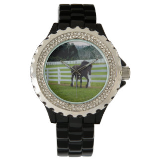 Montre Nonesuch at Cedar Point