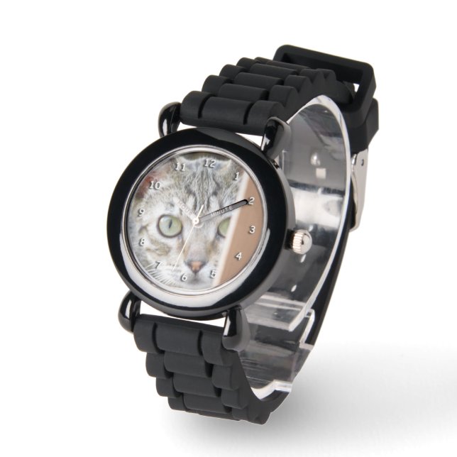Montre - Observation de chaton (Angle)