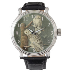Montre OEuvre d'OEuf Audubon