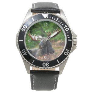 Montre Oie