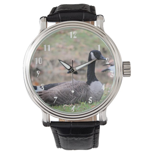 Montre Oie (devant)