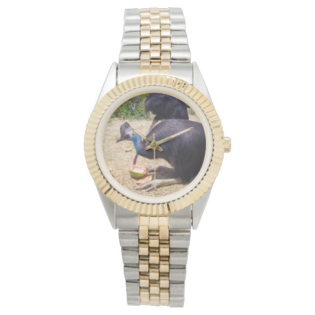 Montre Oiseau De Cassothérapie Profitant Des Melons, (devant)
