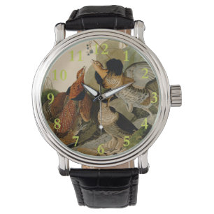 Montre Oiseau de gibier Audubon
