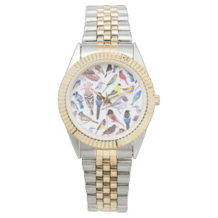 Montre Oiseaux d'Amérique - animaux de compagnie et oise