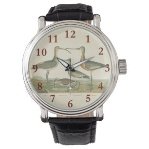 Montre Oiseaux de marais Courlis Oiseaux