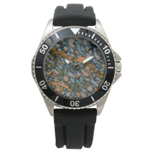 Montre Os de dinosaure pétrifié