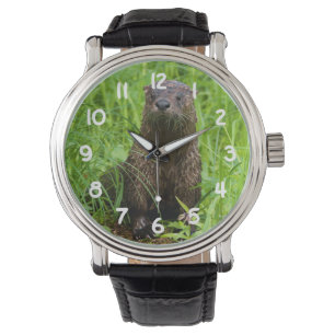 Montre Otter