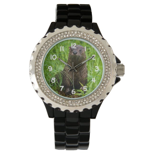 Montre Otter (devant)
