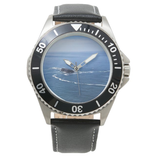 Montre Otter Rock, Cape Foulweather, Newport, Oregon (devant)