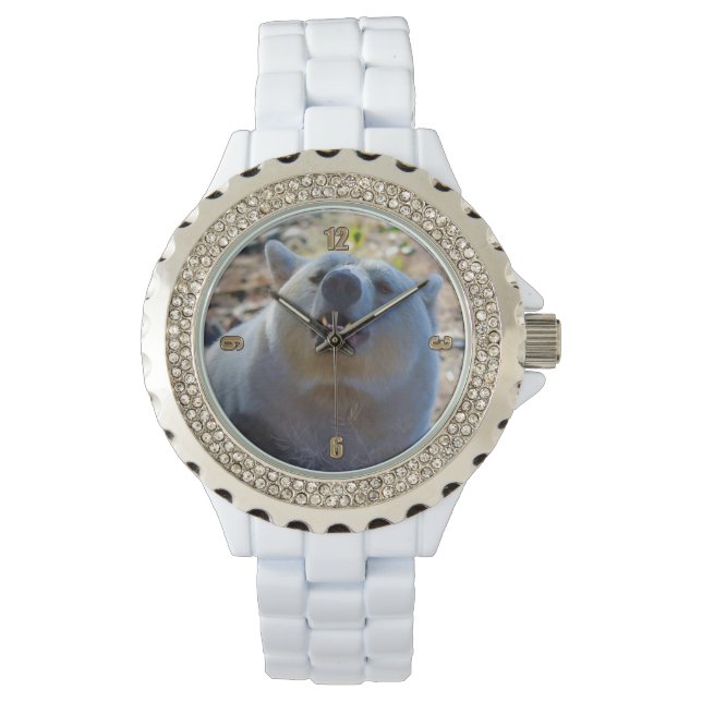 Montre Ours Kermode Rare (Ours Esprit) Photo Faune (devant)