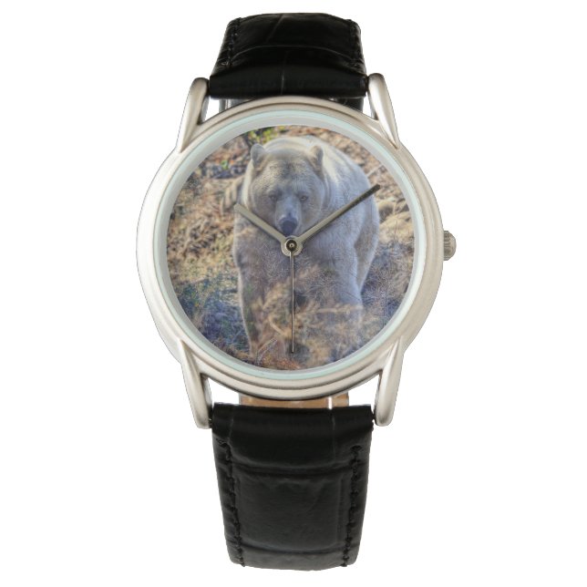 Montre Ours Kermode Rare (Ours Esprit) Photo Faune (devant)
