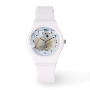 Montre Ours polaire adulte sur la banquise estivale