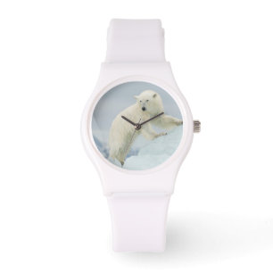Montre Ours polaire en été