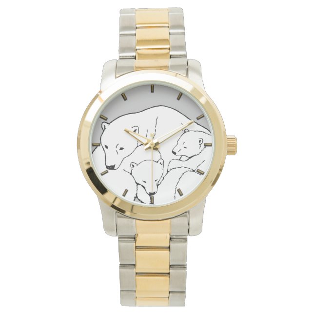 Montre Ours Polaire Observez Ours Faune Ours Cubs Regarde (devant)
