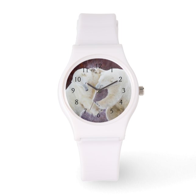 Montre Ours polaires étincelant 2 (Recto)
