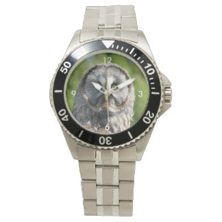 Montre Owl_20180219_by_JAMFoto