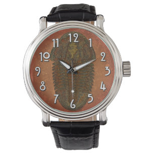 Montre "Paléo-chic" Asaphiscus Fossil Trilobite