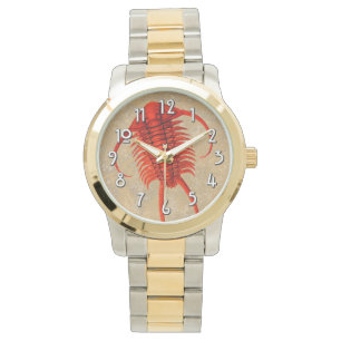 Montre "Paleo-chic" Paraceraurus Fossil Trilobite