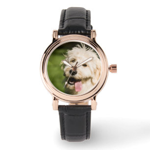 Montre Panneaux de coquelicot de Goldendoodle
