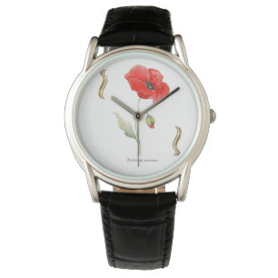 Montre Papaver rhoeas 
